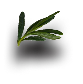 cookgreens